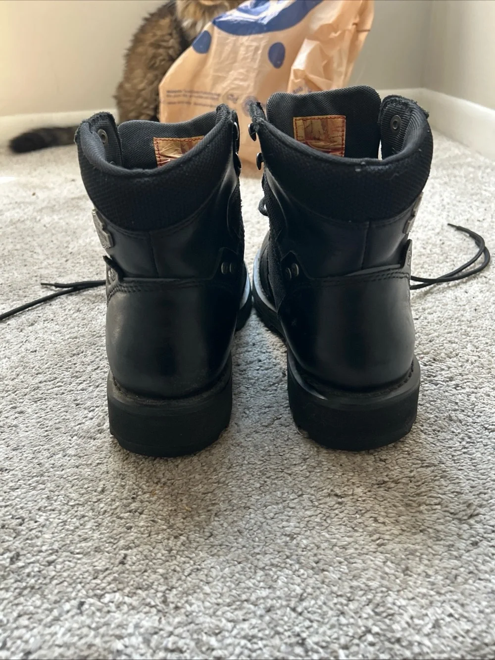 Harley-Davidson sturdy lace